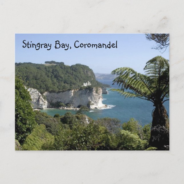 Stingray Bay, Coromandel Postkarte (Vorderseite)