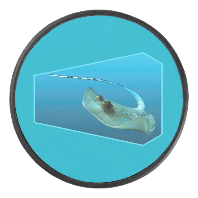 Stingray bewegt! Designgradientenblau | Eishockey Puck (Vorderseite)