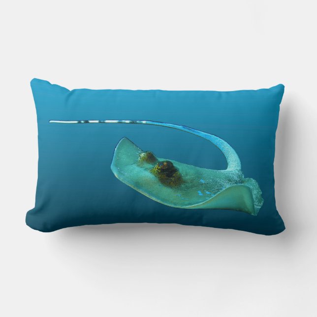 Stingray in Bewegung! Gradient-blauer Hintergrund  Lendenkissen (Vorderseite)