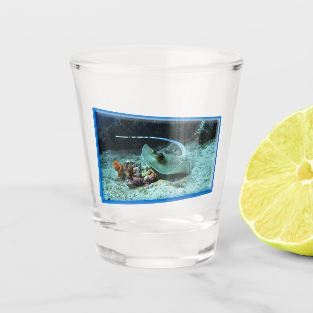 Stingray in motion - fotografisches Design | Schnapsglas (Vorderseite)