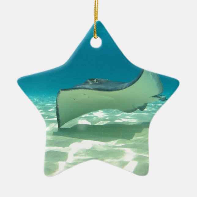 Stingray Keramikornament (Vorne)