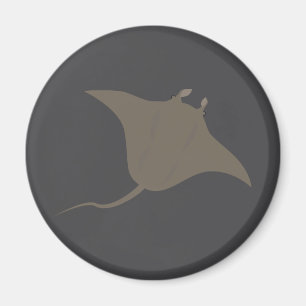 Stingray Magnet