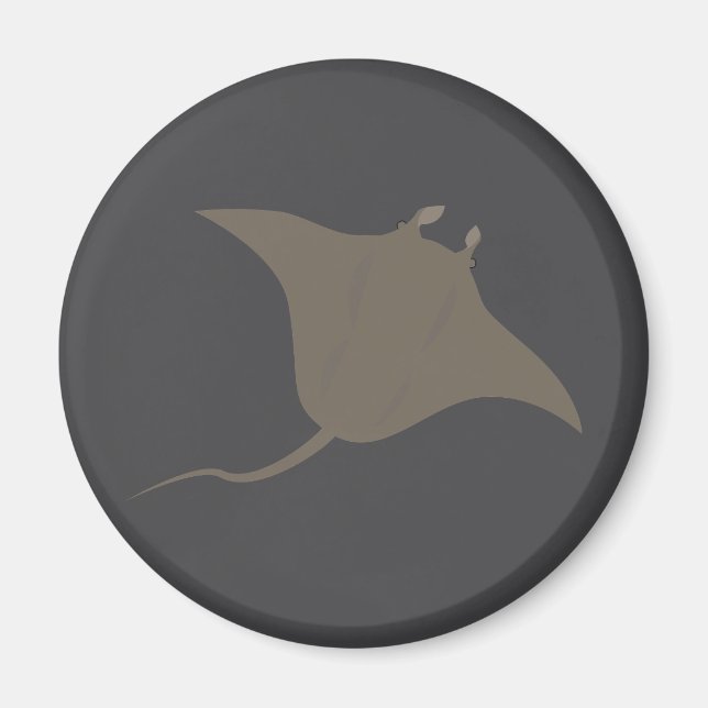 Stingray Magnet (Vorne)