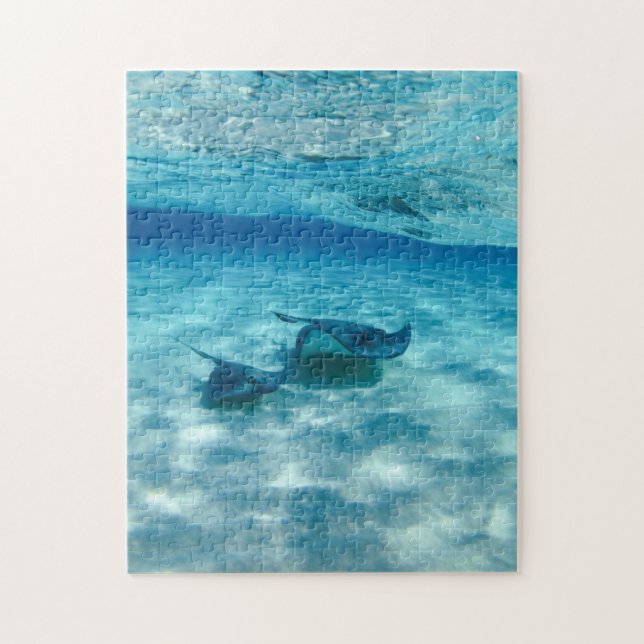 Stingray Ocean Blue Sea Foto Puzzle (Vertikal)