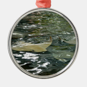 Stingray Ornament Aus Metall