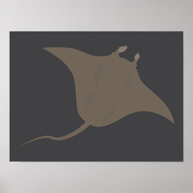Stingray Poster (Vorne)