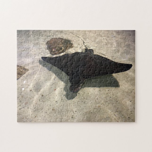 Stingray Puzzle (Horizontal)