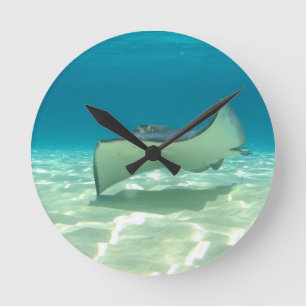 Stingray Runde Wanduhr