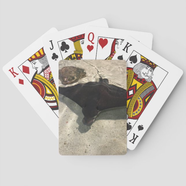 Stingray Spielkarten (Rückseite)