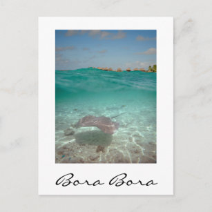 Stingray unter dem Wasser, Bora Bora vertikale Kar Postkarte