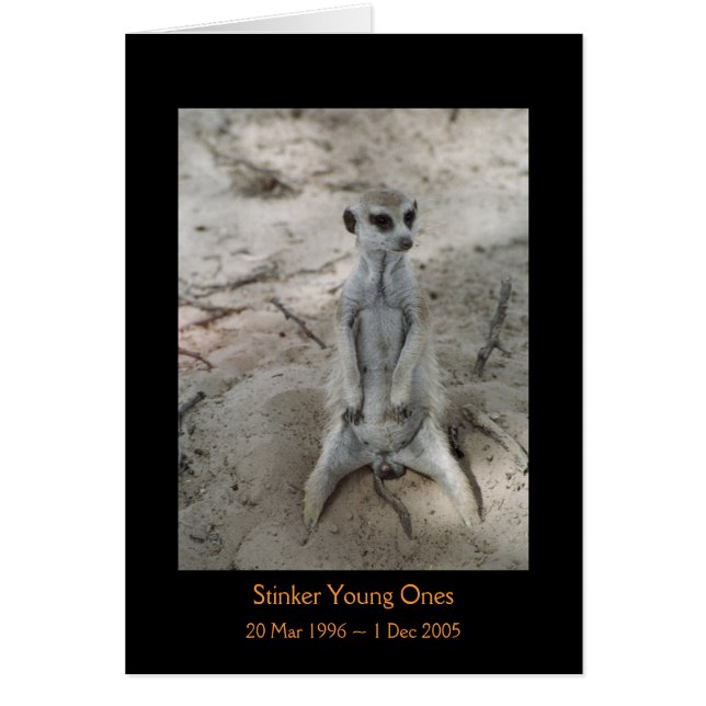 Stinker - Legenden-Karte (Vorne)