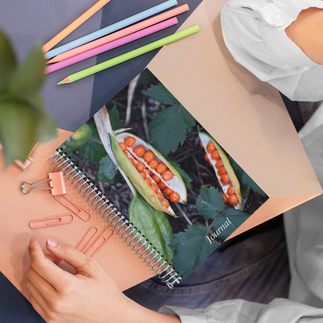 Stinking Iris Seed Pod Foto Notizbuch (In Situ)