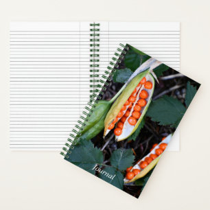 Stinkiris-Samenkapsel-Foto Notizbuch