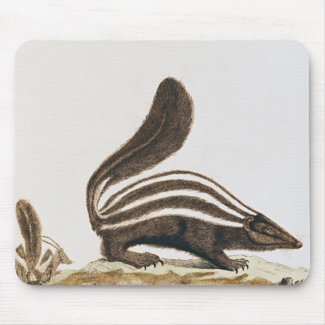 Stinktier, von "Histoire Naturelle" vorbei Mousepad (Vorne)