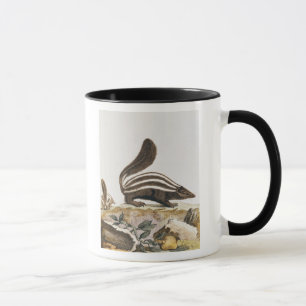 Stinktier, von "Histoire Naturelle" vorbei Tasse