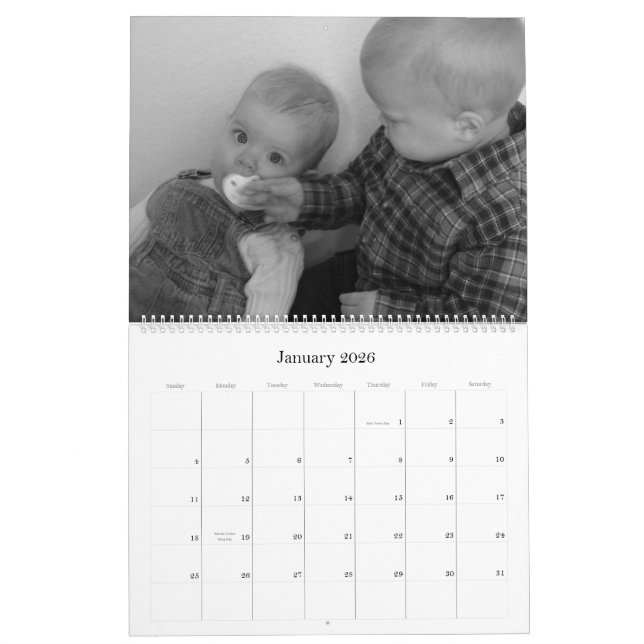 Stinky Käse-Kalender Kalender (Jan 2026)