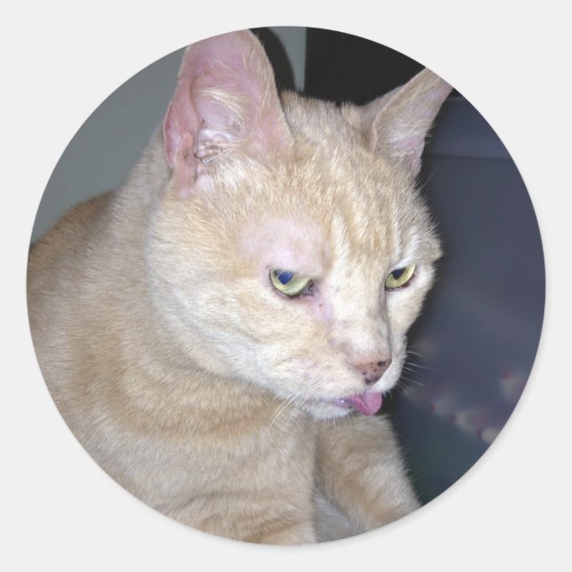 Stinky Raspberry Sticker (Vorderseite)