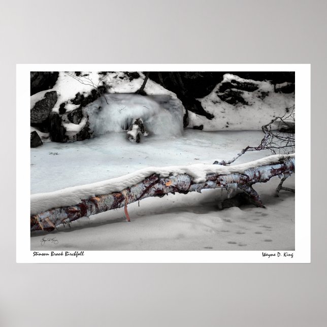 Stinson Brook Birchfall Poster (Vorne)