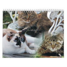 Stipendienkalender 2020