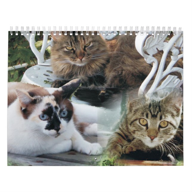 Stipendienkalender 2020 kalender (Titelbild)