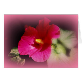 "Stipendium auf dem Weg"