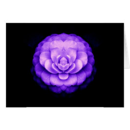 "Stipendium auf dem Weg"