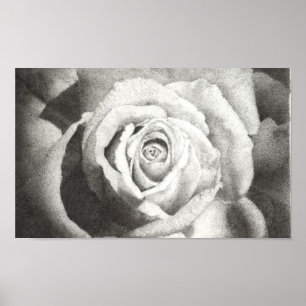 Stippled Rose Poster