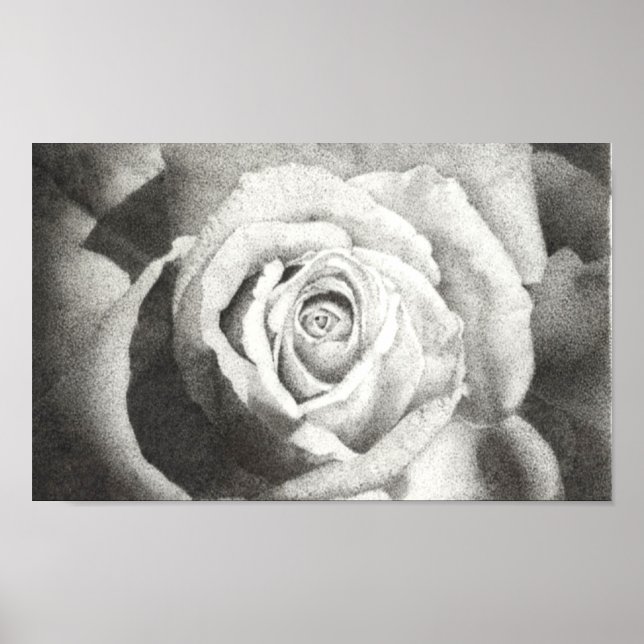 Stippled Rose Poster (Vorne)