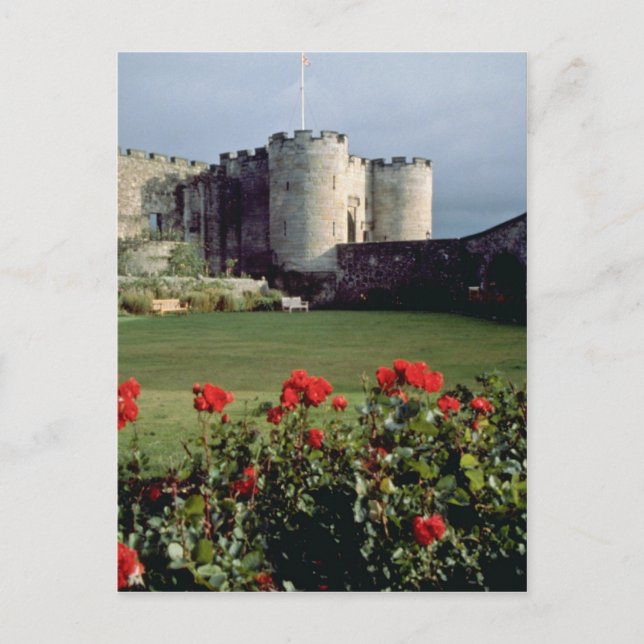 Stirling Castle, schottische Blume Postkarte (Vorderseite)