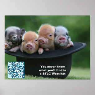 STLC West Hutposter Poster