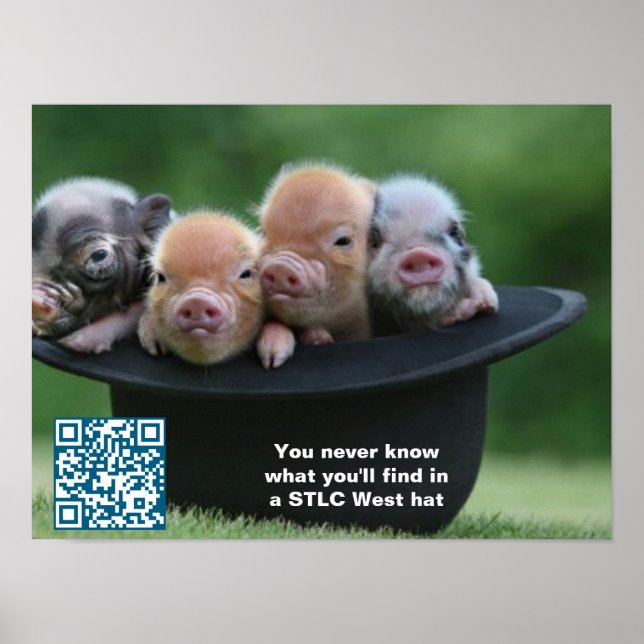 STLC West Hutposter Poster (Vorne)
