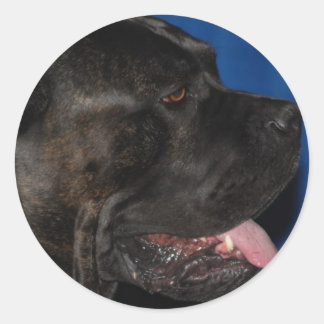 Stock Corso Hundeaufkleber Runder Aufkleber