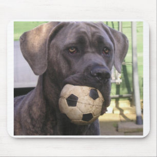 Stock corso.png mousepad