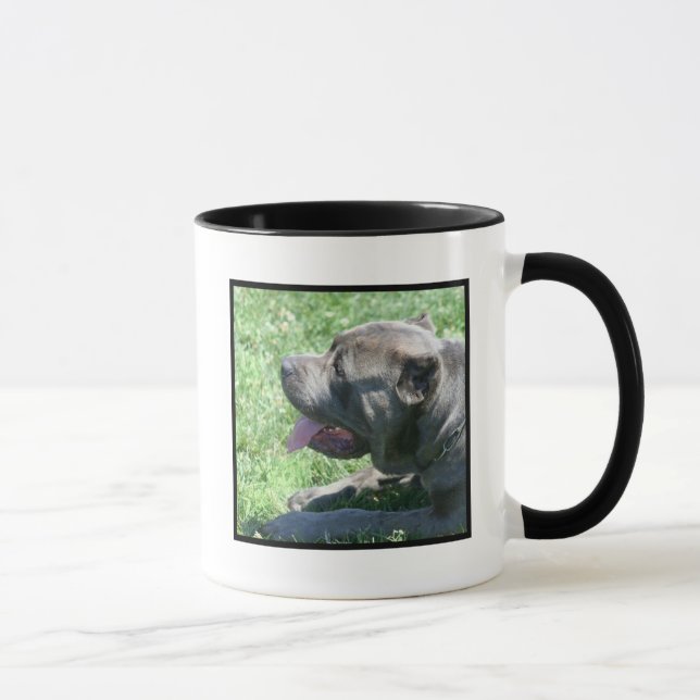 Stock corso Tasse (Rechts)