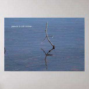 Stock im Wasser Poster