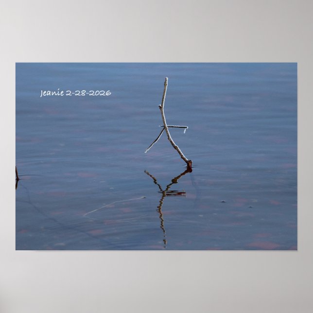 Stock im Wasser Poster (Vorne)