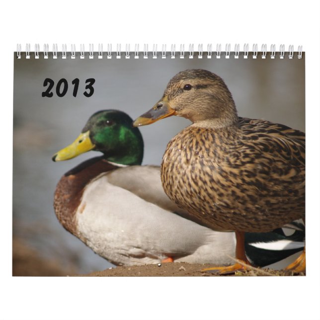 Stockente duckt Sportler-Kalender 2014 Kalender (Titelbild)
