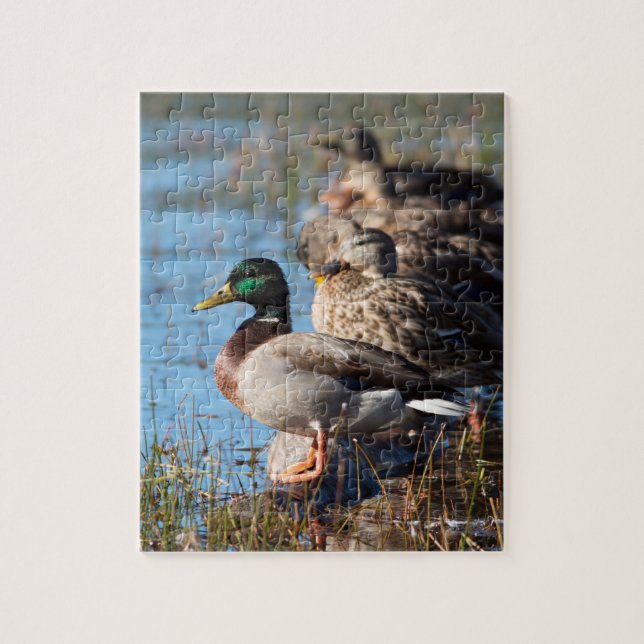 Stockente duckt Tier-Foto Puzzle (Vertikal)