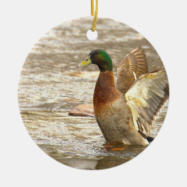 Stockente Foto Ornament  (Vorne)