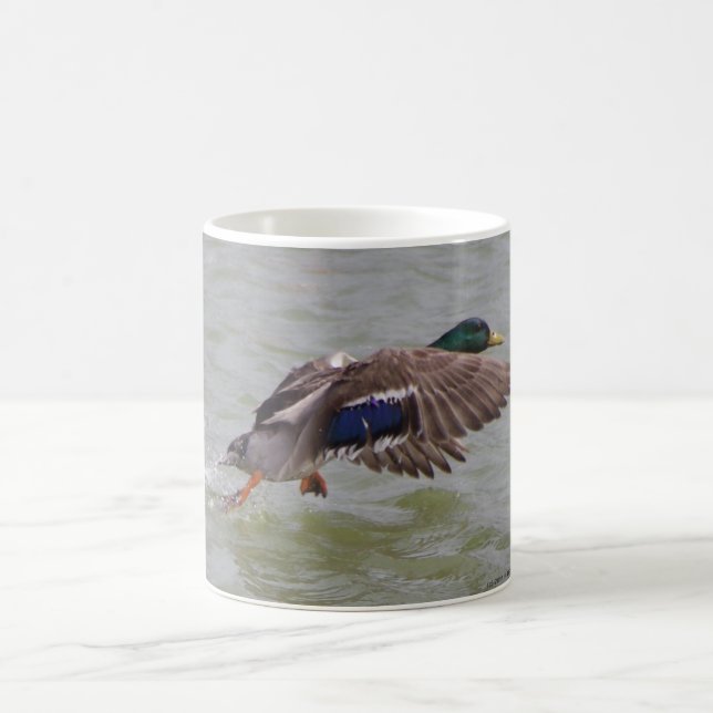 Stockente im Flug Kaffeetasse (Mittel)