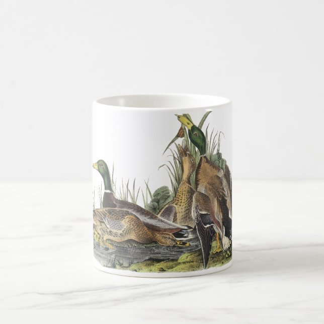 Stockente, John Audubon Kaffeetasse (Mittel)