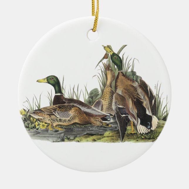 Stockente, John Audubon Keramikornament (Vorne)
