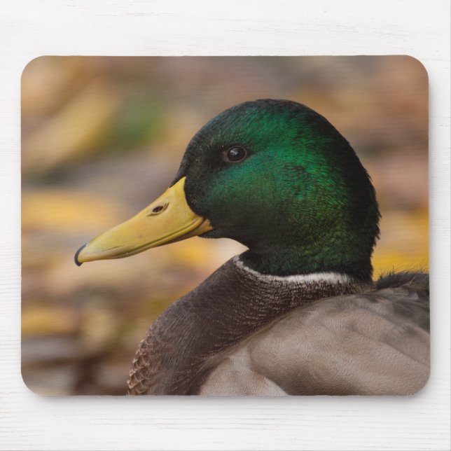 Stockente Mousepad (Vorne)