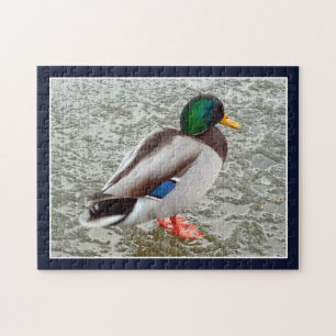 Stockente Wildente auf gefrorenem See Puzzle