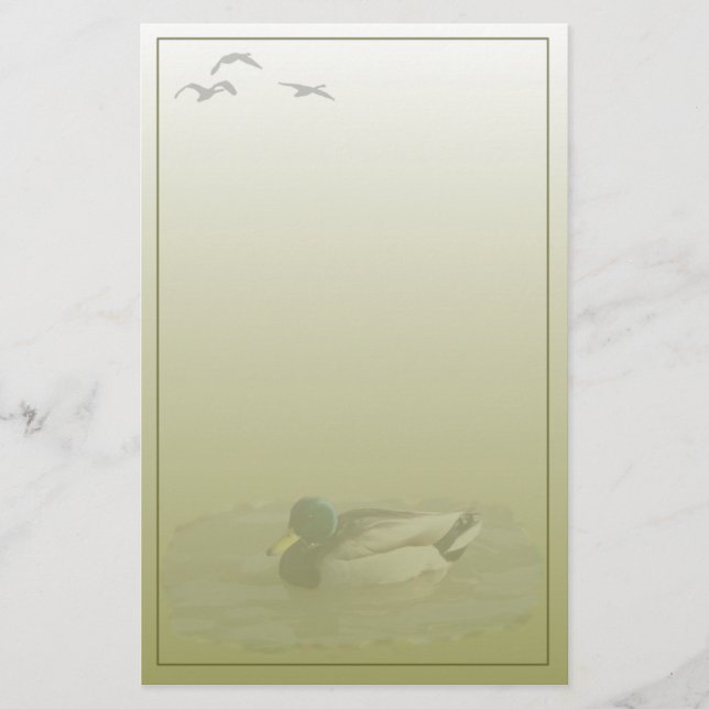 Stockenten-Drake-Gewohnheits-Briefpapier Briefpapier (Vorderseite)