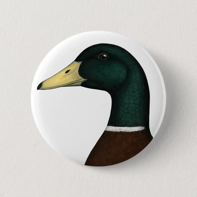 Stockenten-Drake-Kopf Button (Vorderseite)