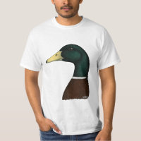 Stockenten-Drake-Kopf