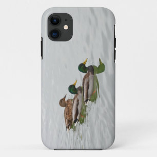 Stockenten Druck iPhone 5 Hülle