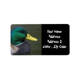 Stockenten-Ente Adressaufkleber
