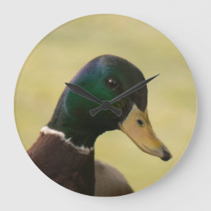 Stockenten-Ente Große Wanduhr